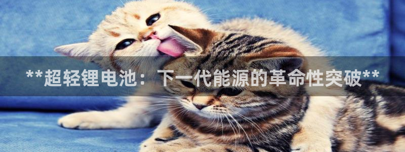 尊龙官网登录·(中国)官方网站-bd SPORTS