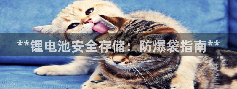 尊龙凯时干什么的