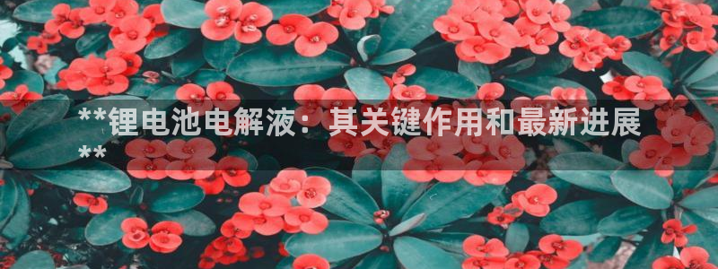尊龙人生就是博中国区