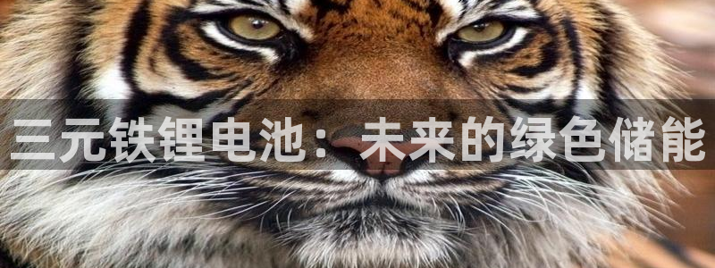 尊龙人生就是博网站下载