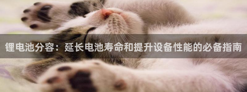 尊龙人品怎么样