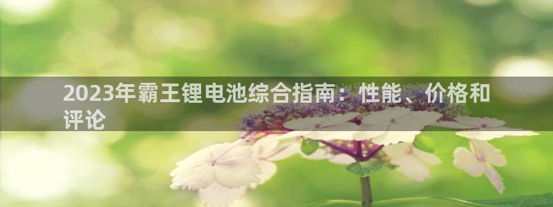 尊龙网站下分慢