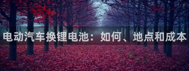 尊龙网站手机下载