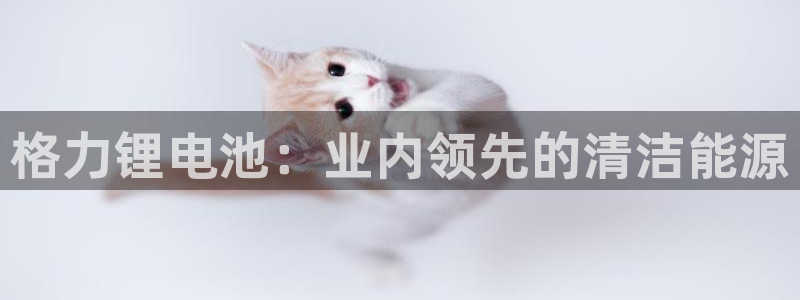 尊龙ag旗舰厅登陆