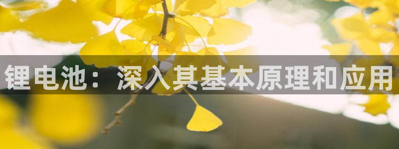 尊龙用现金一下可靠送38元
