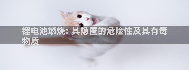 尊龙人生就是博ag
