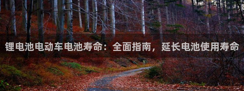 下载尊龙
