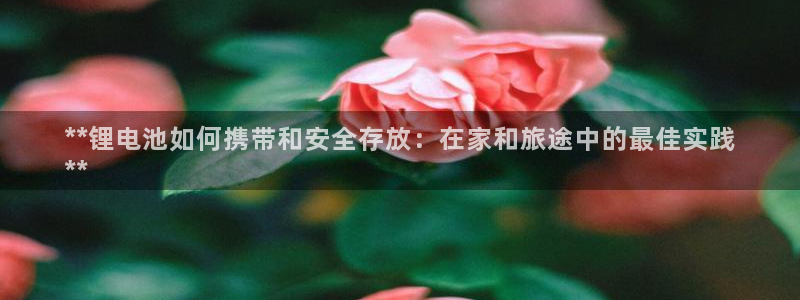 尊龙凯时网页版