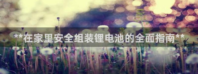 尊龙 ag