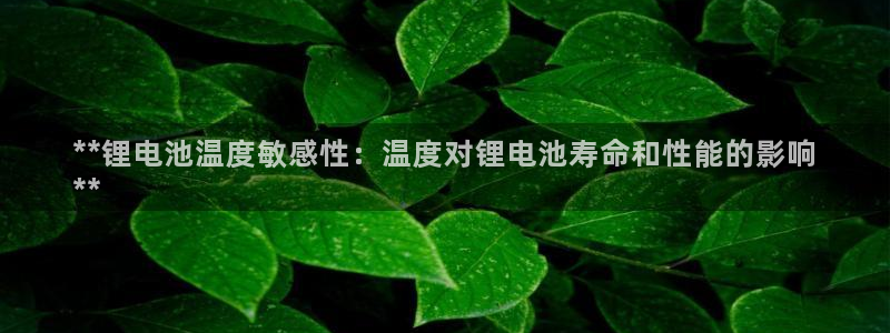 尊龙凯时输钱的原因