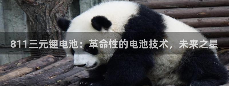 尊龙ag旗舰厅登陆