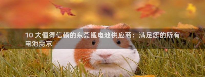 尊龙凯时人生就是搏包装优势