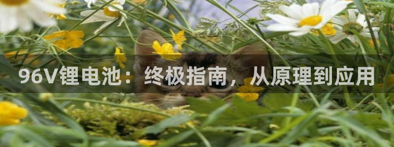 尊龙集团有限公司地址