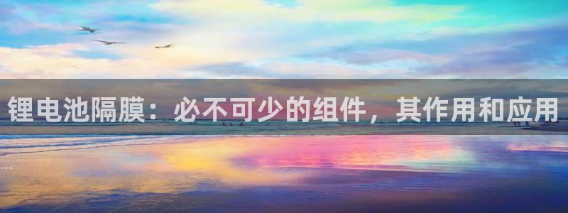 尊龙现金