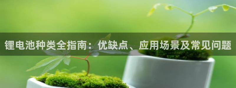 尊龙官方app下载