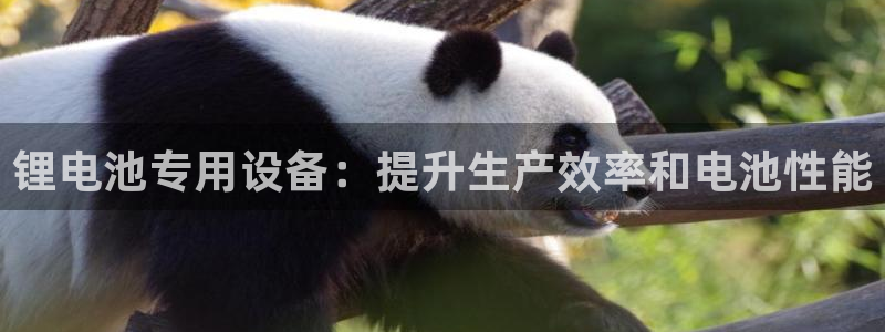 尊龙官网免费下载