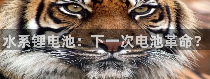 尊龙专访视频