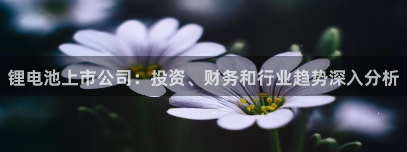 尊龙凯时平台不给出款怎么办