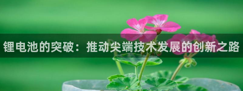 尊龙凯时网