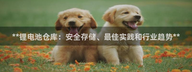尊龙d88官网新版