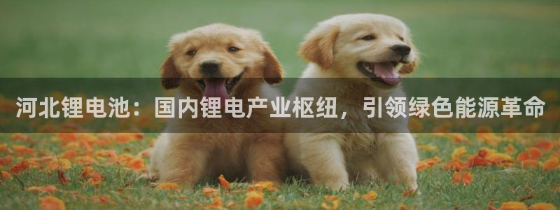 尊龙ag旗舰厅官网·(中国)官方入口
