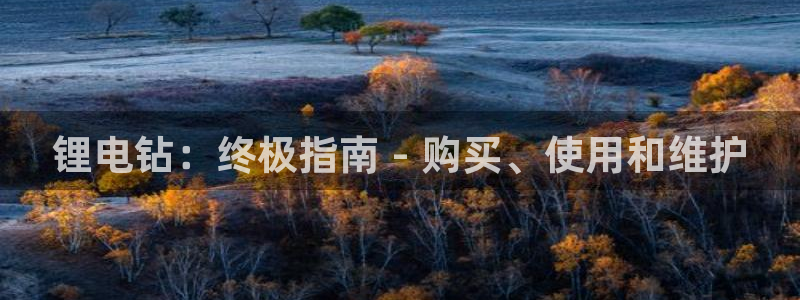 尊龙官方APP下载