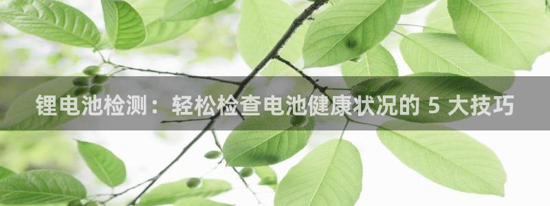 尊龙app认可ag发财网