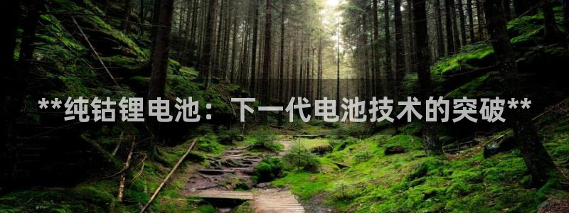 尊龙官方网址