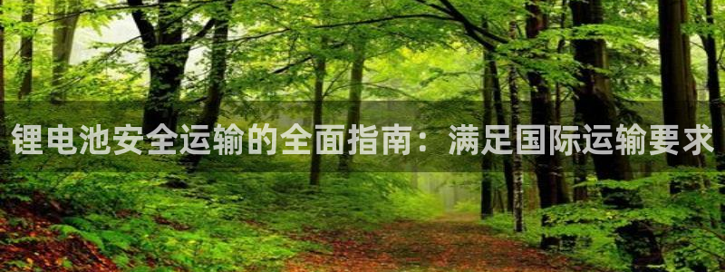尊龙官方网址