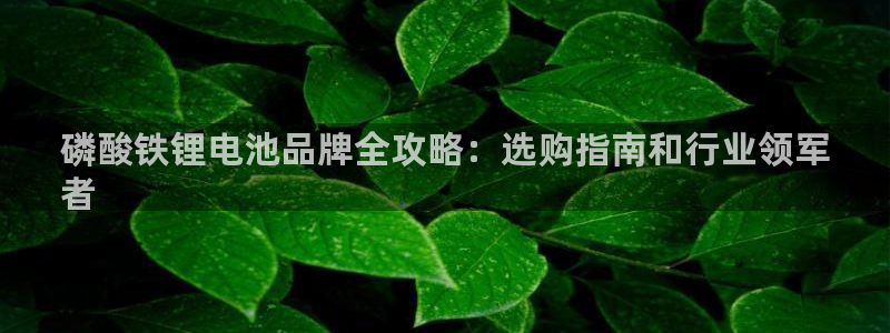 尊龙d88手机app免费下载