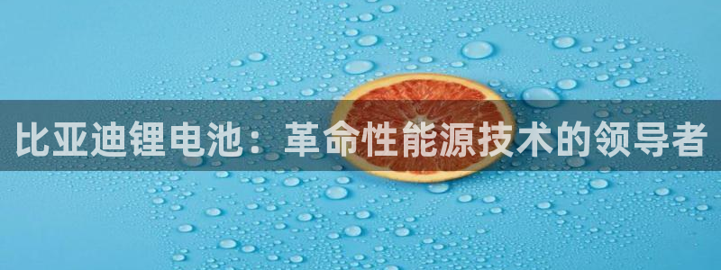 尊龙凯时平台入口