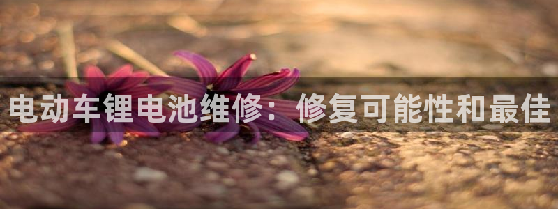 尊龙服饰有限公司地址