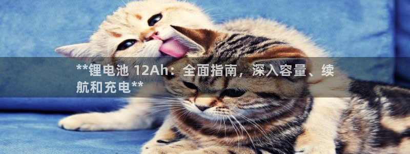 尊龙凯时新闻