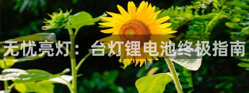 尊龙凯时人生就是博中国官网