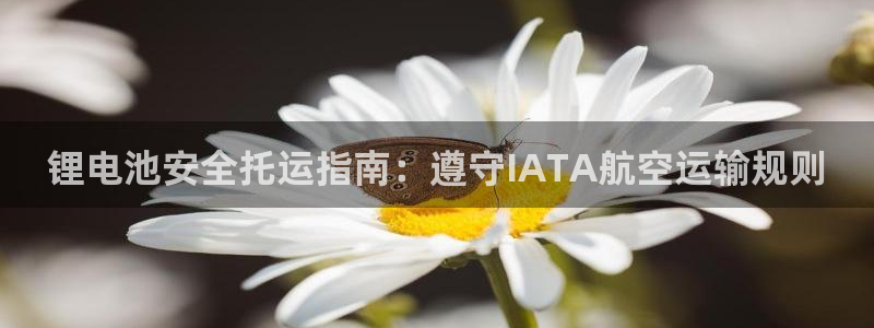 尊龙实业