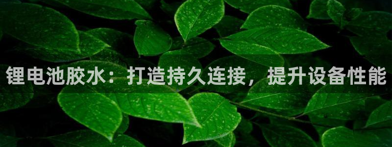 尊龙凯时导航菜单首页