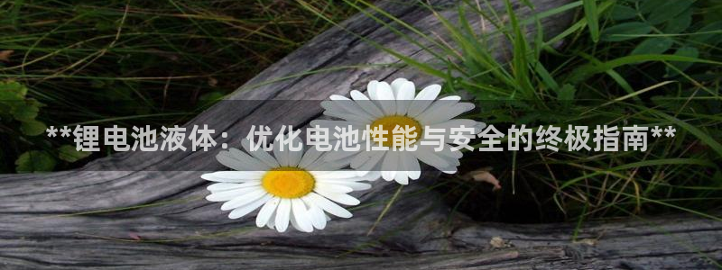 尊龙凯时网页版