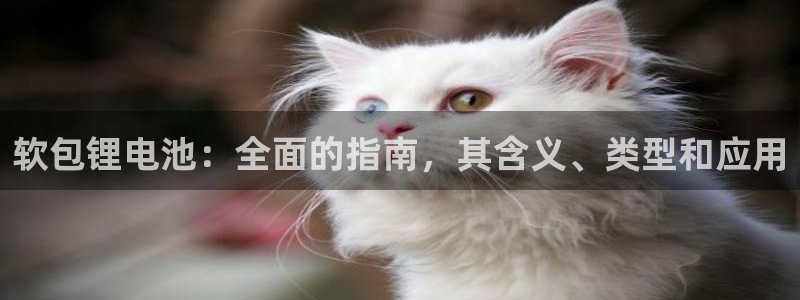 尊龙凯时人生就是搏·(中国)官网
