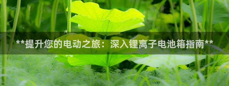 尊龙人生就是博旗舰厅