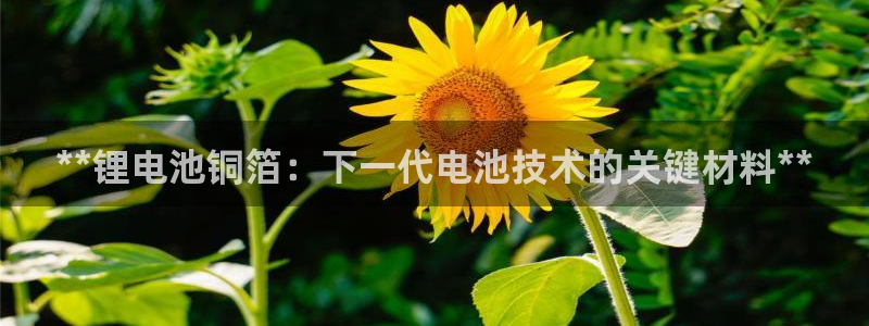 凯时国际app首页下载