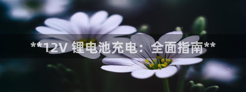 凯时网上官方网站