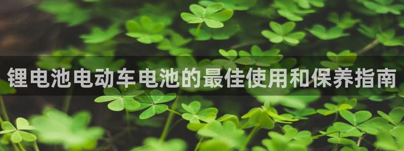 K66凯时国际平台官网
