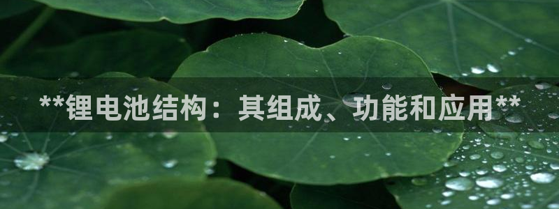 K66凯时国际平台官网