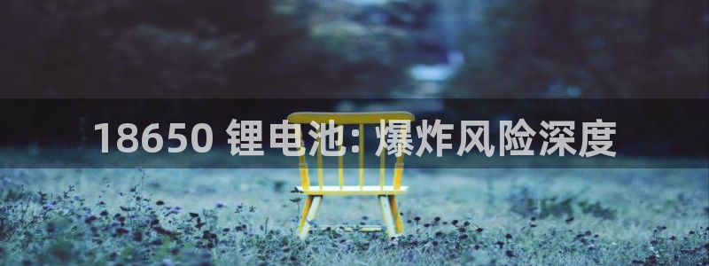 尊龙官网