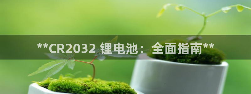 尊龙凯时 人生就是搏