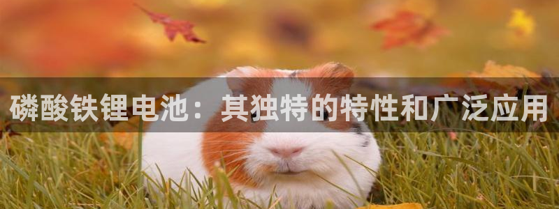 尊龙目前在哪