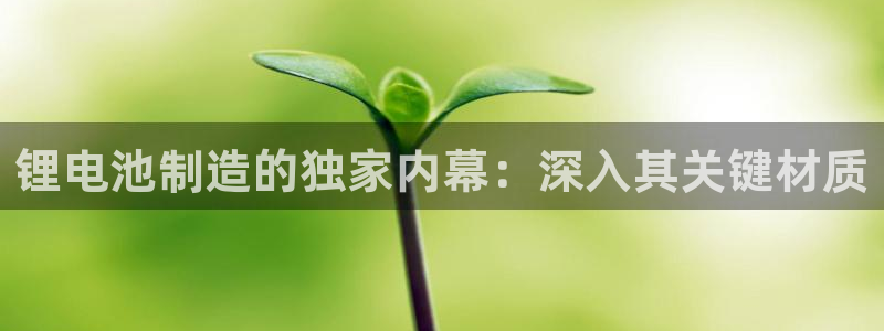 尊龙凯时贴吧