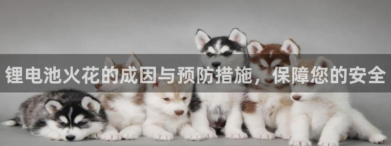 尊龙人生就是博电脑版