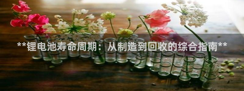 尊龙 下载