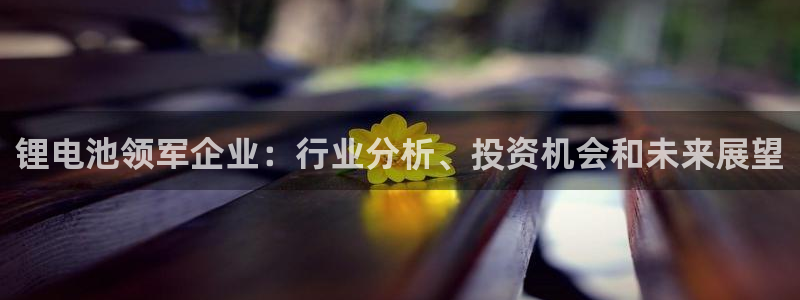 尊龙集团有限公司招聘